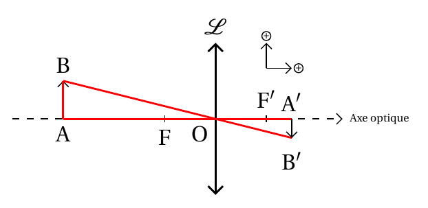 Thalès papillon