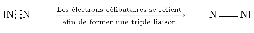 Formation du diazote : les électrons célibataires se relient pour former une triple liaison