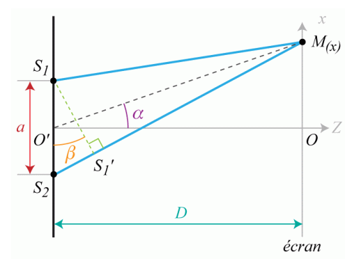 Les ondes interfèrent constructivement au point M