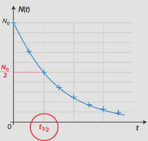 Décroissance du nombre de noyaux au cours du temps