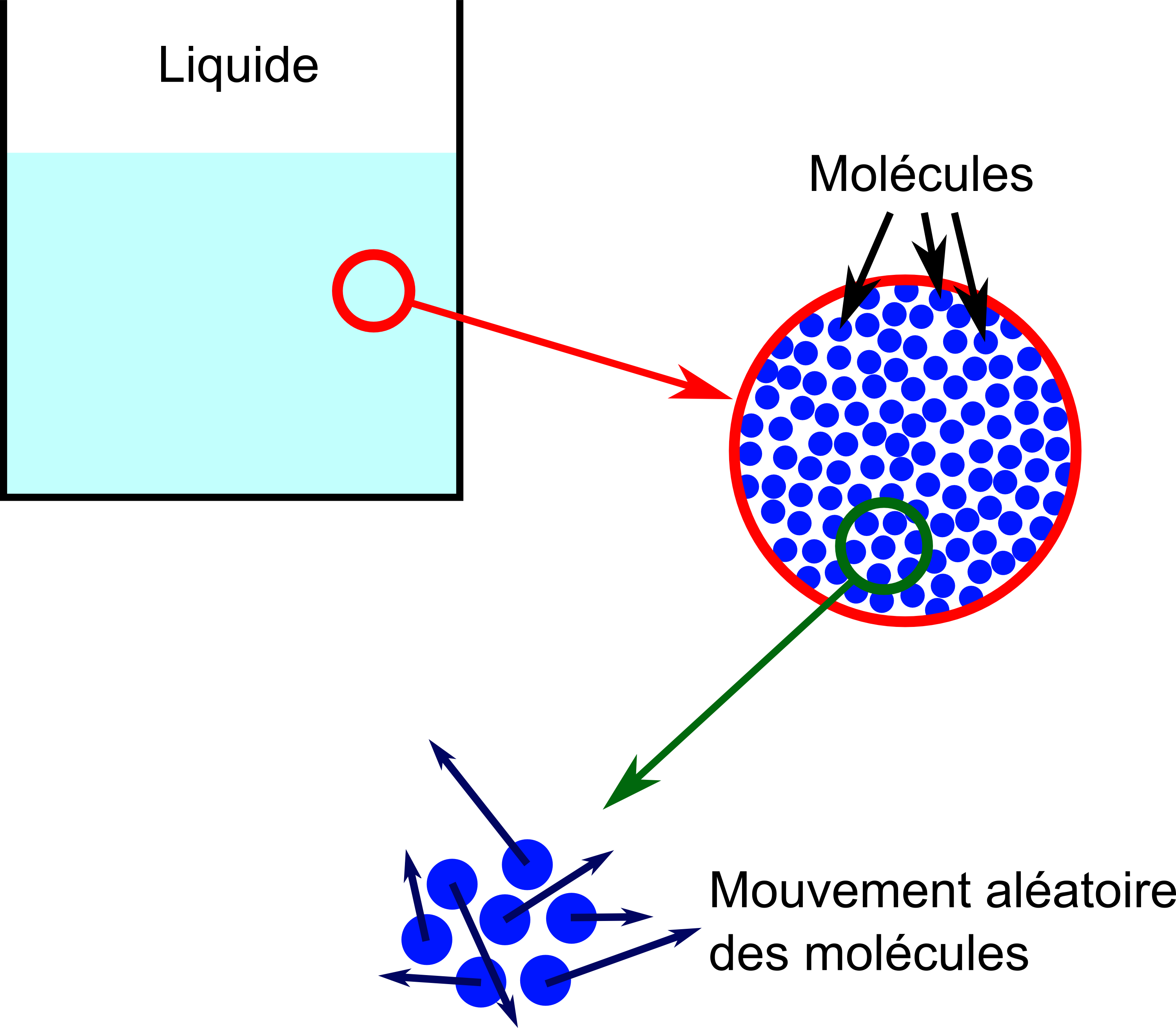 Le liquide est macroscopiquement au repos mais les molécules sont en mouvement au niveau microscopique